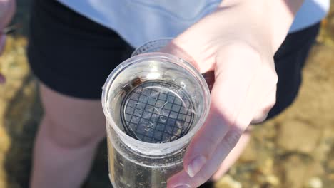 a marine scientist conducting field research observes small creatures swimming in a specimen jar