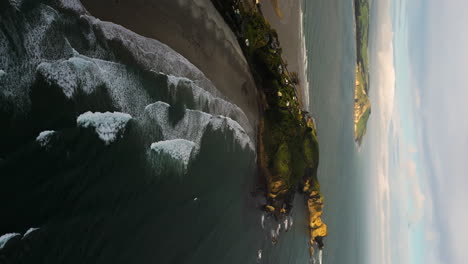 huriawa peninsula and karitane beach, pacific coast of south island new zealand, aerial vertical