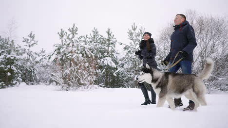 Estilo-Pareja-Joven-Divirtiéndose-En-El-Parque-De-Invierno-Cerca-Del-Lago-Con-Su-Amigo-Perro-Husky-En-Un-Día-Brillante-Abrazándose-Y-Sonriendo