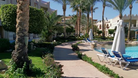 palm tree leaves and pool water surface beautiful summer tropical background through palm leaves on background.