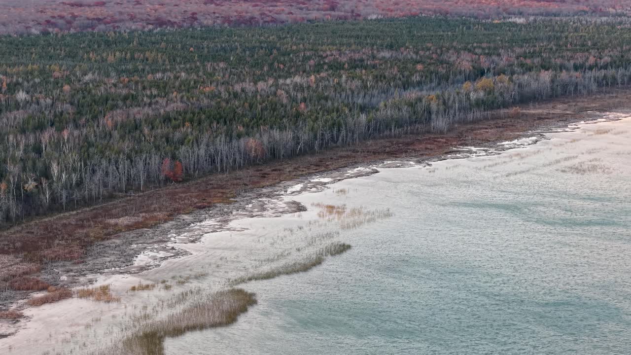 Aerial drone footage of a sandy Lake Superior beach meeting dense Upper Peninsula forest under a cloudy afternoon sky