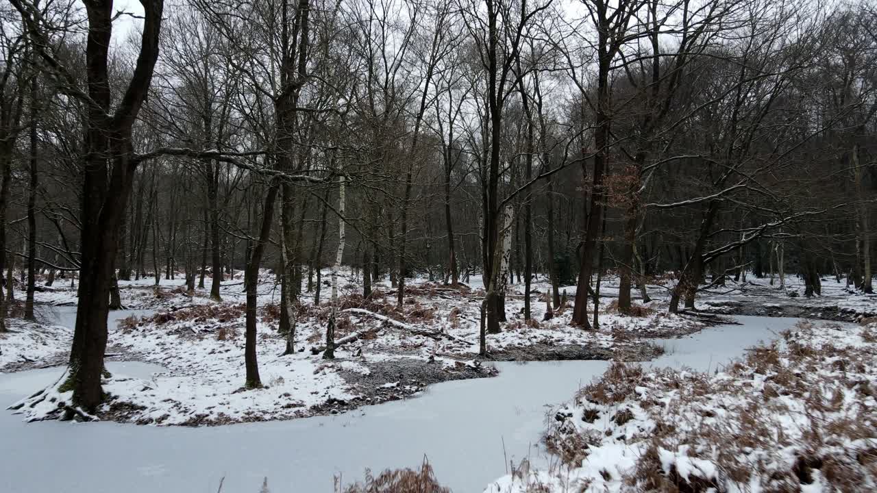 Ripresa aerea ravvicinata di un piccolo stagno ghiacciato nella foresta di Epping, Essex, Regno Unito, con alberi spogli ricoperti di neve e ghiaccio
