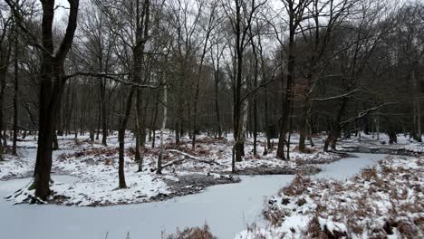 Antenne-Niedrig-Pov-über-Kleinen-Gefrorenen-Teich-Epping-Forest-Essex,-Großbritannien-Schnee-Bedeckte-Gefrorene-Kahle-Bäume