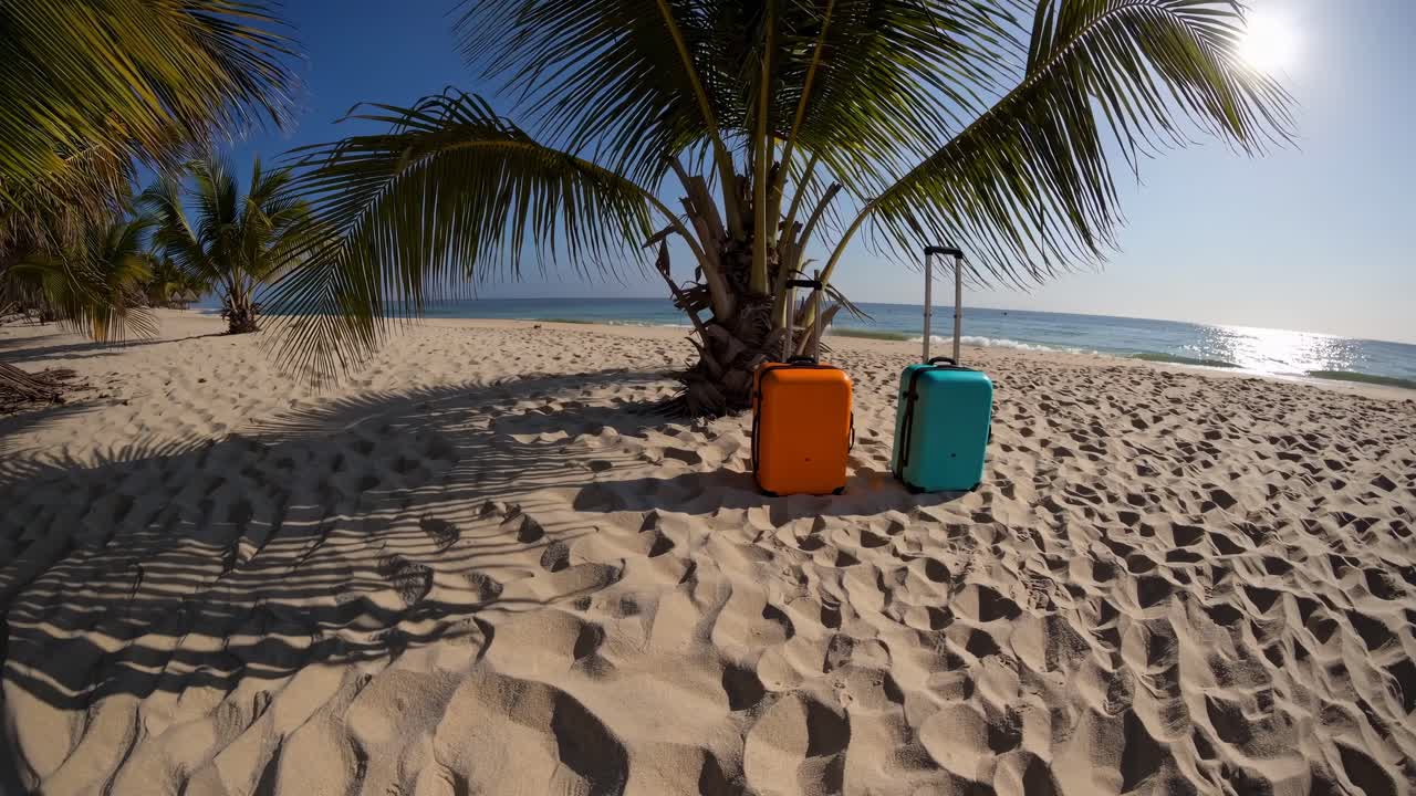 Inquadratura grandangolare di due valigie sotto una palma su una spiaggia assolata, che cattura l'atmosfera di un video di viaggio