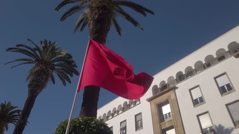 bandera marroquí ondeando bajo palmeras frente a edificios coloniales en rabat marruecos