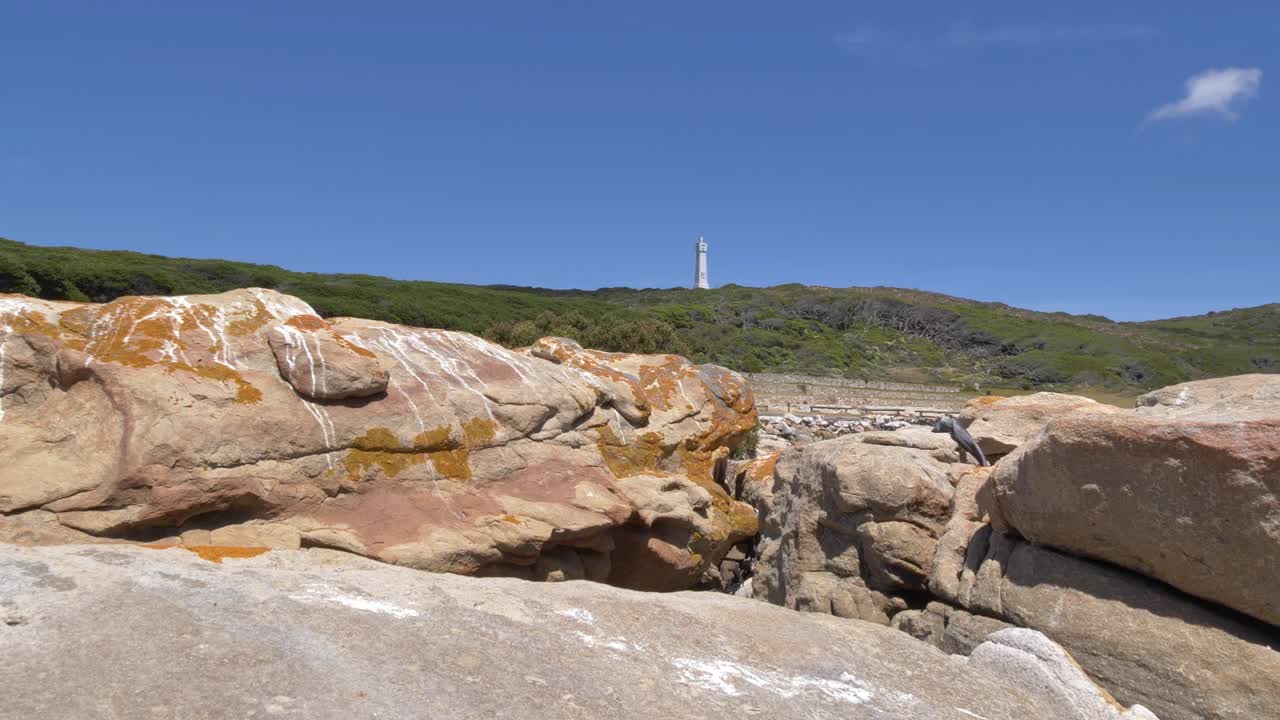 Da Gama-korset, ett framstående monument, står högt på ett grönt, kuperat landskap ovanför karga kustklippor under en klarblå himmel vid Cape Point, Cape Point naturreservat.