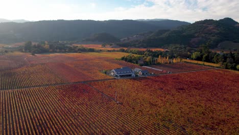 aerial de vibrantes hojas de otoño de colores amarillos, naranjas, rojos y verdes sobre la bodega en el valle de napa, california