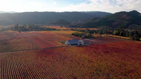 aerial of vibrant colorful yellow, orange, red, green autumn leaves over winery in the napa valley california