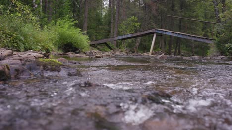 rustic forest stream bridge