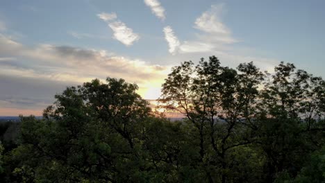 Hermosa-Puesta-De-Sol-Y-Cielo-Mirando-A-Través-Del-Dosel-De-árboles