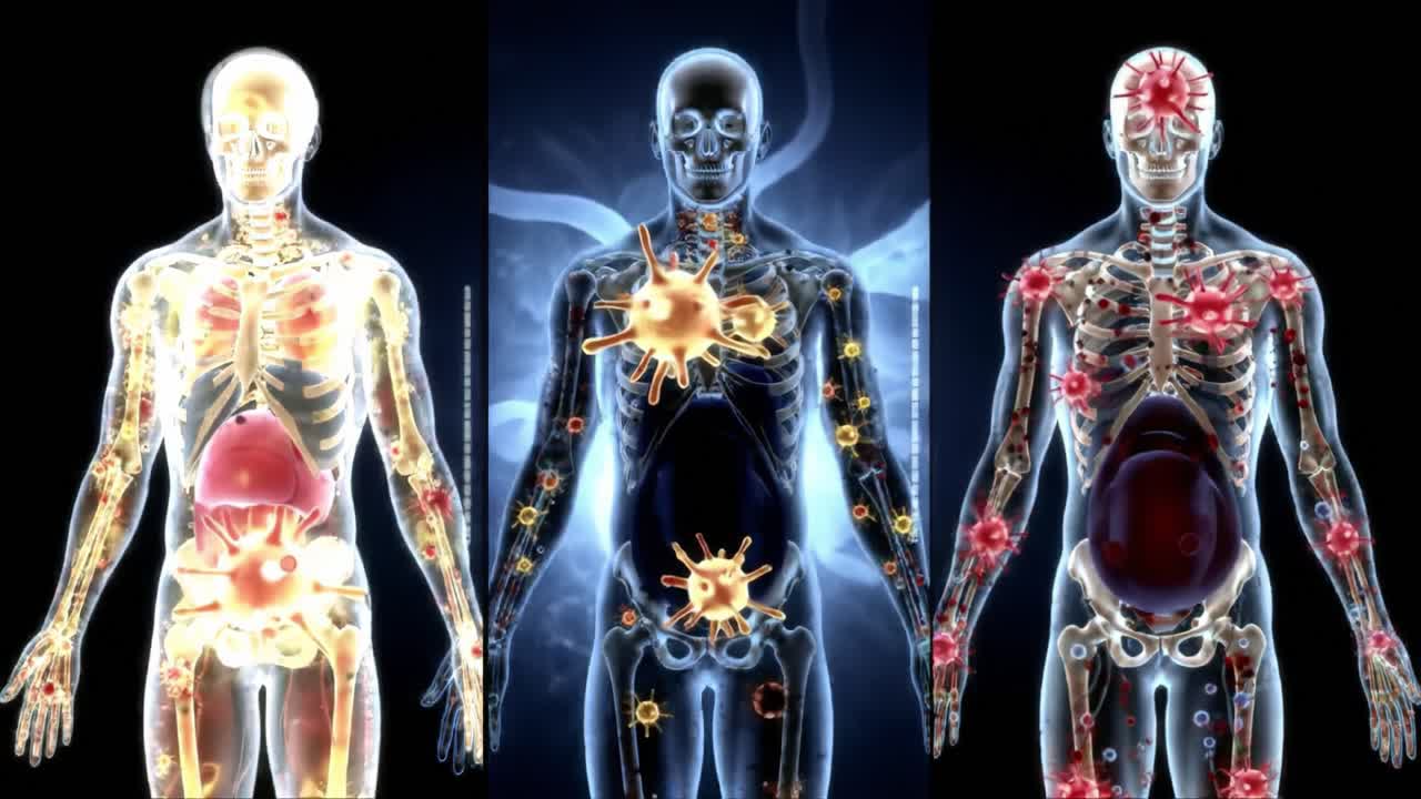 A Visual Exploration of the Human Body's Internal Systems: From the Dark Shadows to Luminous Clarity, Showcasing Health and Disease Interactions
