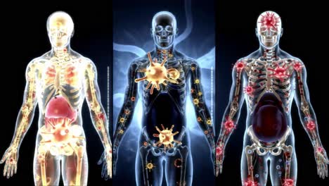 a visual exploration of the human body's internal systems: from the dark shadows to luminous clarity, showcasing health and disease interactions