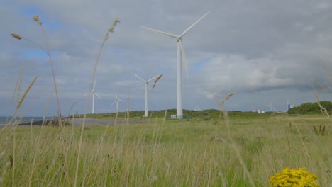 approaching windmills through blowing grasses on cloudy summer day