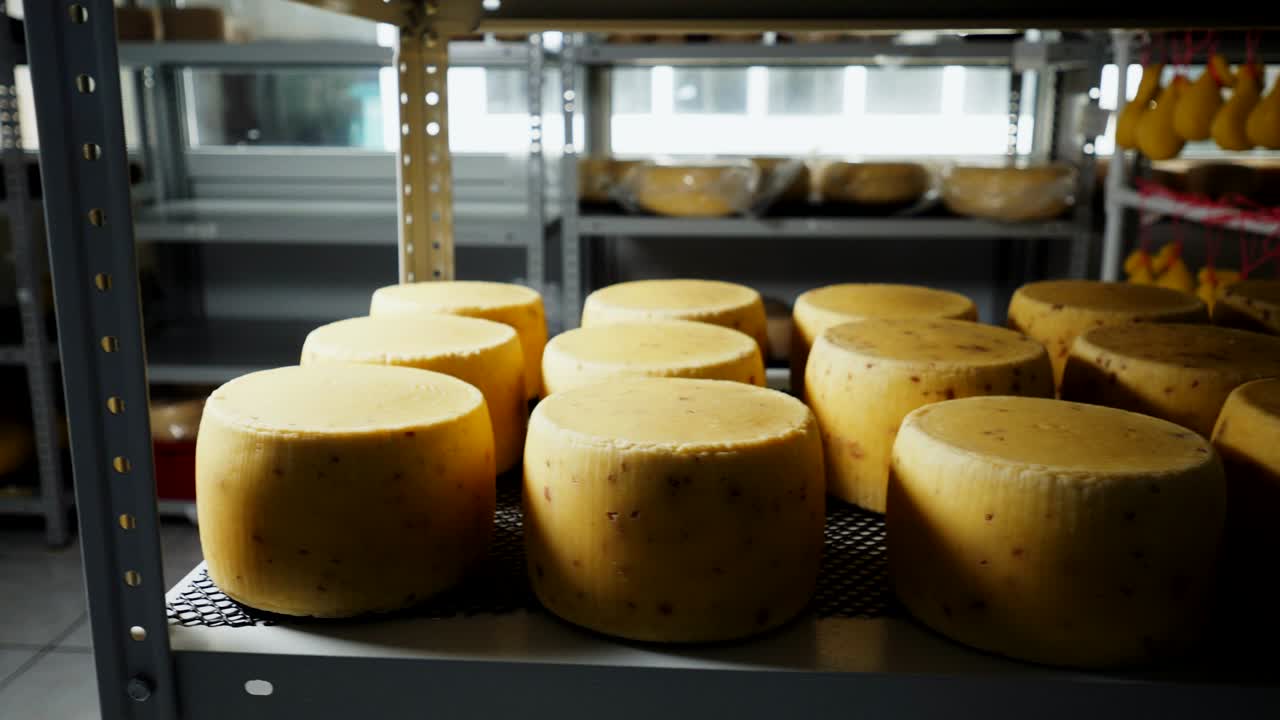 cheese heads stored on metal rack in plant warehouse