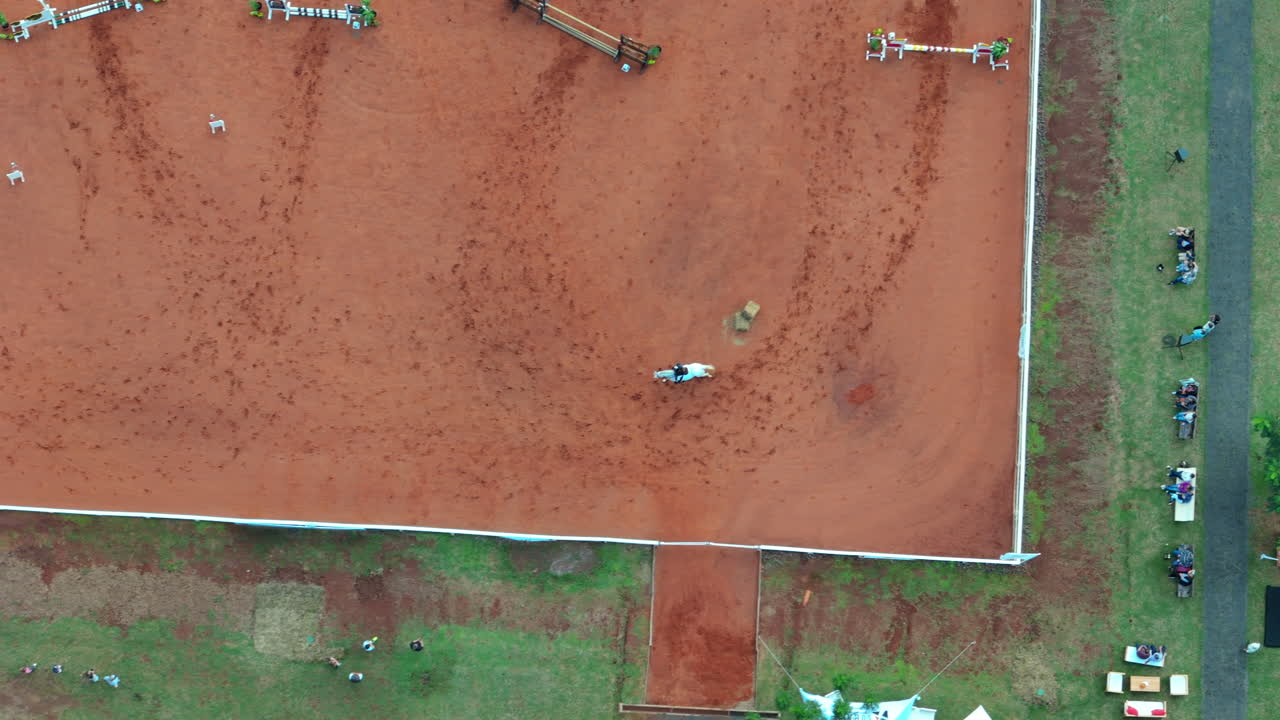 aerial view of Equestrian obstacle course, horse and athlete in professional training