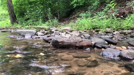 Flowing-river-through-a-dense-forest