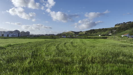 drone flying low over the fields