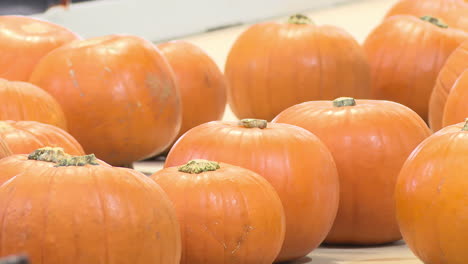 calabazas