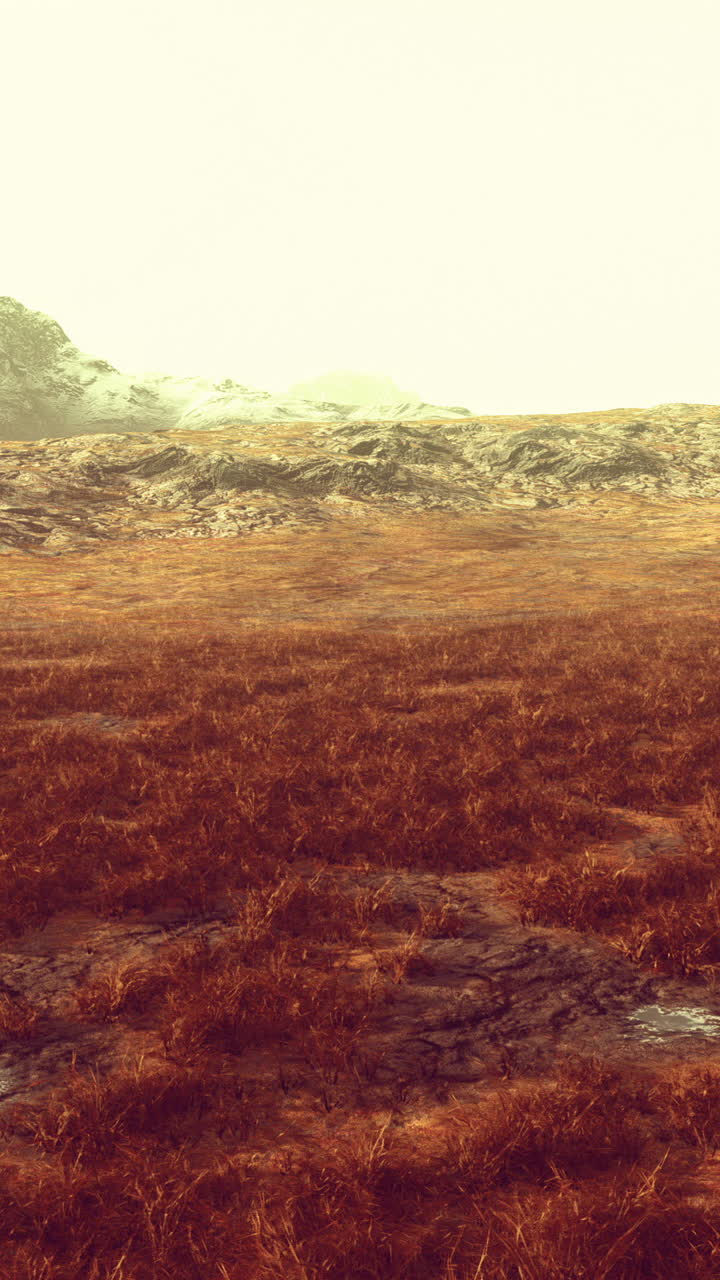 una vista panorámica de una cordillera cubierta de nieve con un campo de hierba en primer plano.