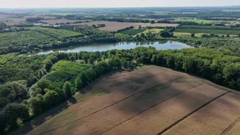 Idyllische-Hafer--Und-Roggenfelder,-Umgeben-Von-üppigen-Grünen-Wäldern-Und-Süßwasserseen-Im-Sommer---Dänemark-Europa-Luftaufnahme