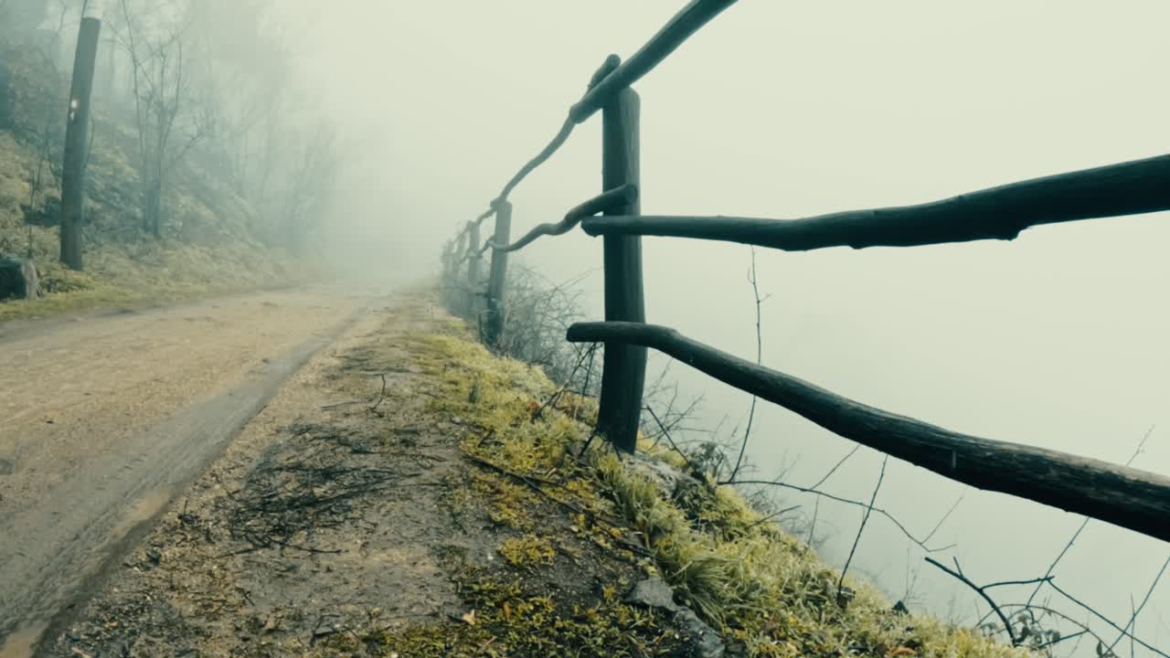 Cinematic POV procházka mlhavým zimním lesem. Atmosférická krajina s hustou mlhou, holými stromy a blátivou stezkou, ideální pro mysteriózní a filmové vyprávění příběhů.