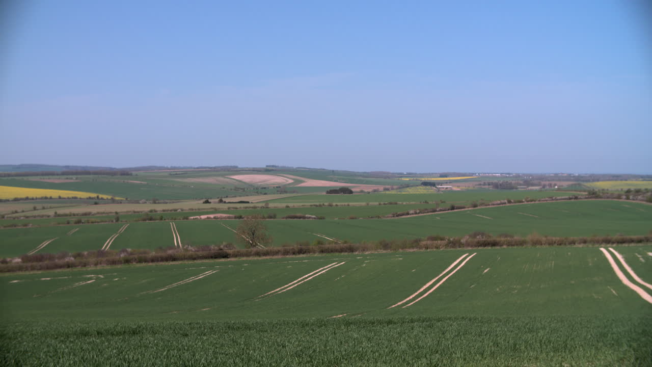 Panoramic View Of Summer Farm Fields With Crops In UK
