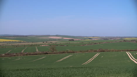 Panoramic-View-Of-Summer-Farm-Fields-With-Crops-In-UK