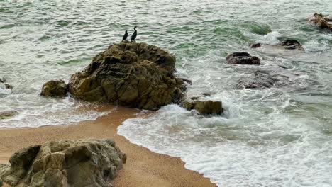 Cormoranes-Mittelmeerstrand-Menschenleer-Bei-Sonnenaufgang-Türkisblau-Ruhiges-Wasser-Barcelona-Küste-Maresme-Costa-Brava-Spanien-Europäischer-Tourismus