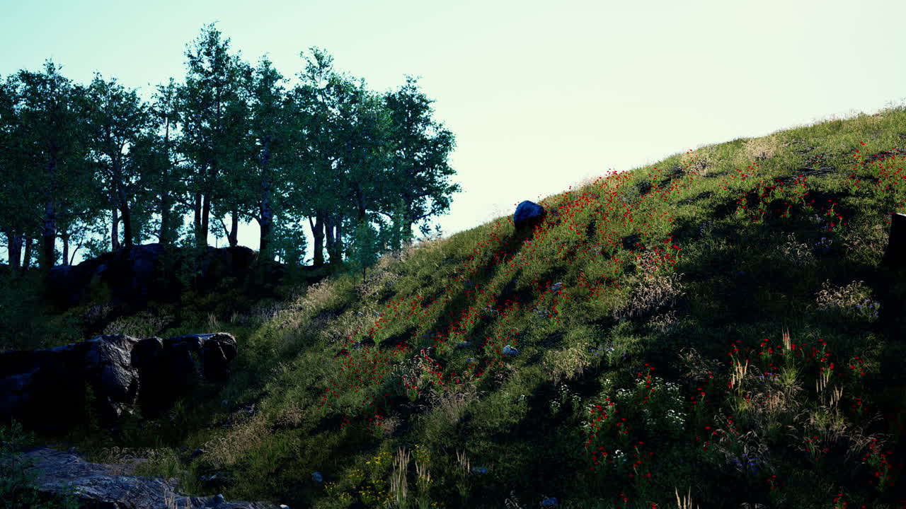 mañana de verano brumosa en las montañas