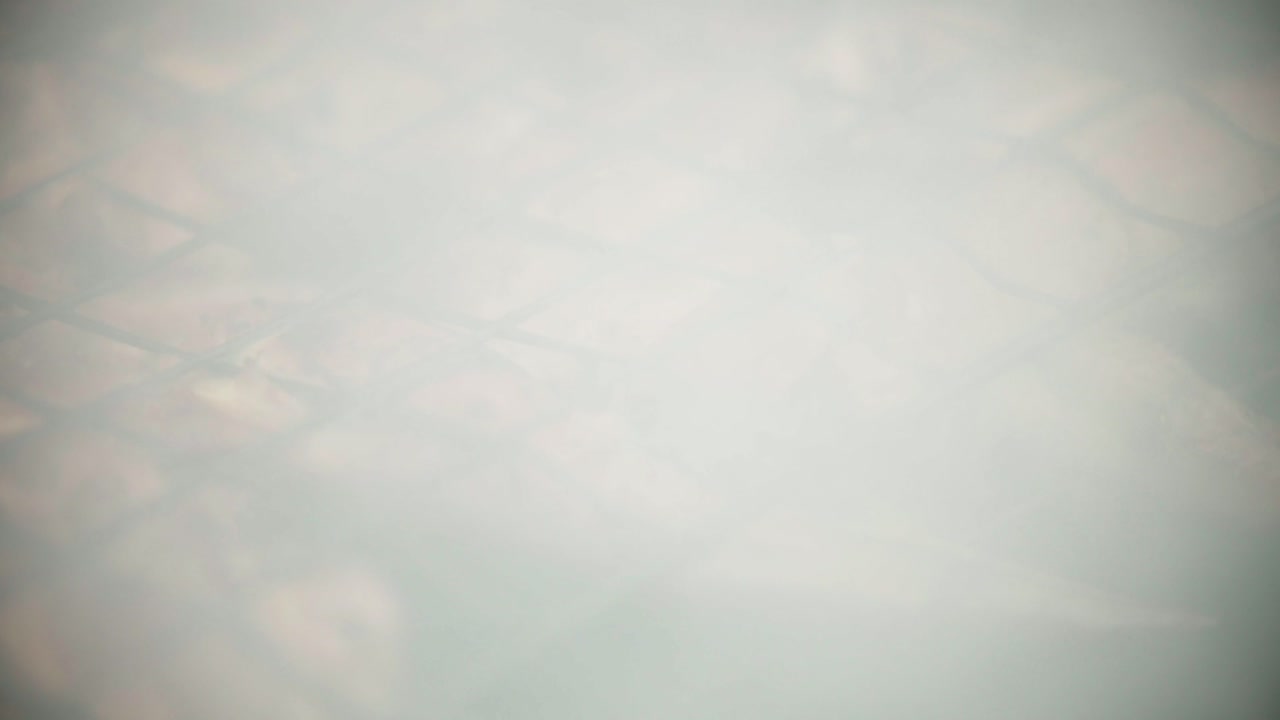 Close-up shot of juicy and marinated chicken meat on bbq grid, smoke in slow motion