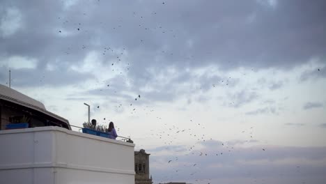 two people on balcony watching black birds flying against cloudy sky