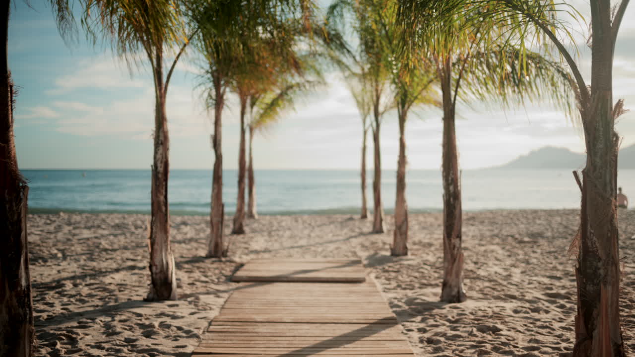 Wooden walkway surrounded by palm trees leading to a sunny beach with clear blue water