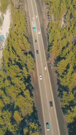brown lively roadway runs along wide highway crossing green thick spring pine forest under bright sunlight aerial view