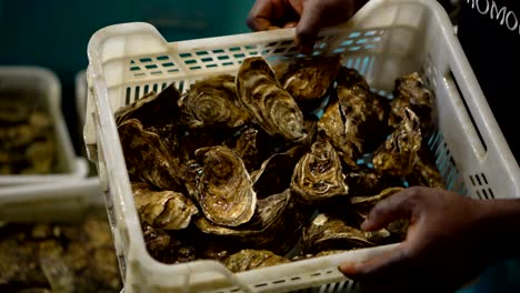 manos de un hombre afro negro sosteniendo una canasta con mejillones de ostras