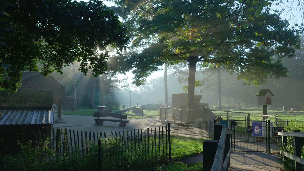 Park scene with sunlight filtering through trees