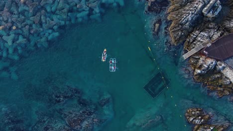 a-family-rowing-on-a-small-boat-on-the-seashore