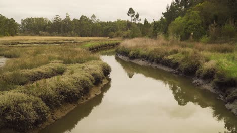 4k-Schlammiges-Flussbett-Bei-Ebbe-Mit-Etwas-Wasser,-Das-Den-Fluss-Hinunter-Zum-Ozean-Fließt