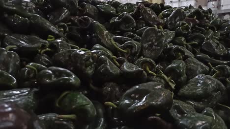 un manojo de chile poblano verde