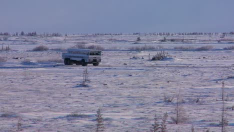 Un-Buggy-De-Tundra-Sobre-Orugas-árticas-Se-Mueve-A-Través-De-La-Extensión-Congelada-De-La-Bahía-De-Hudson,-Canadá-1