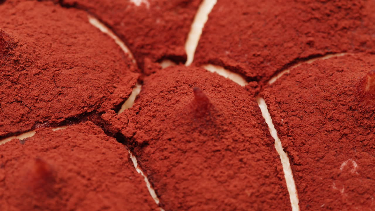 Close-up of Tiramisu Dessert