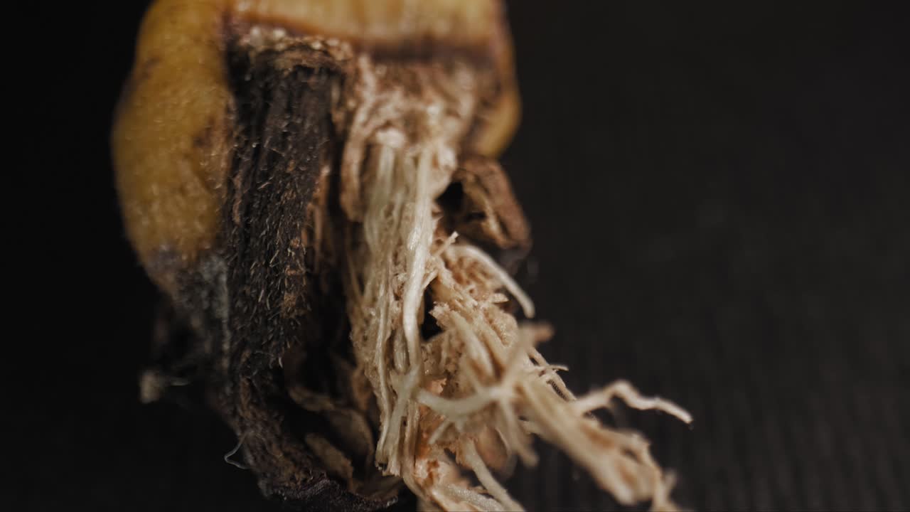 잘 익은 바나나 줄기에서 나오는 섬유질 털의 영화 같은 팬