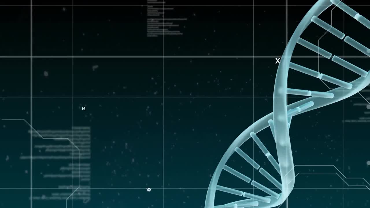 Digital code with DNA helix