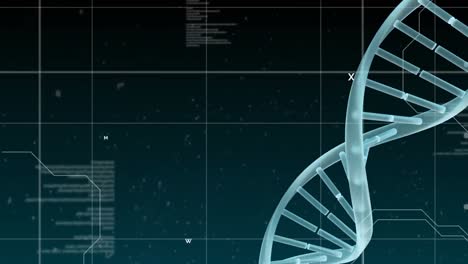 Digital-code-with-DNA-helix-