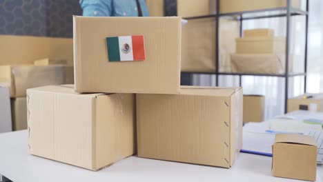 mexican flag on logistics cargo package.