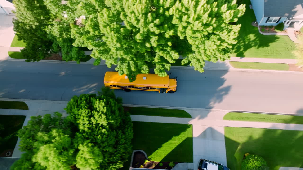 Strada suburbana ripresa dall'alto con scuolabus giallo che passa sotto la chioma degli alberi, prati residenziali illuminati dal sole.