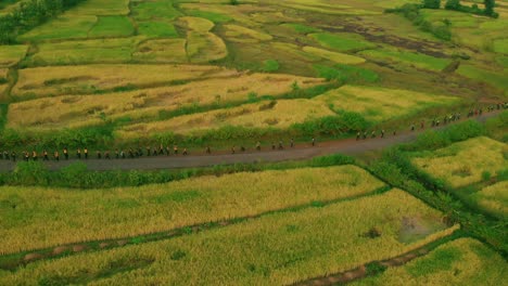 estudiante del pueblo volviendo a casa de la escuela al atardecer mirando el dron en línea desde el campo en línea