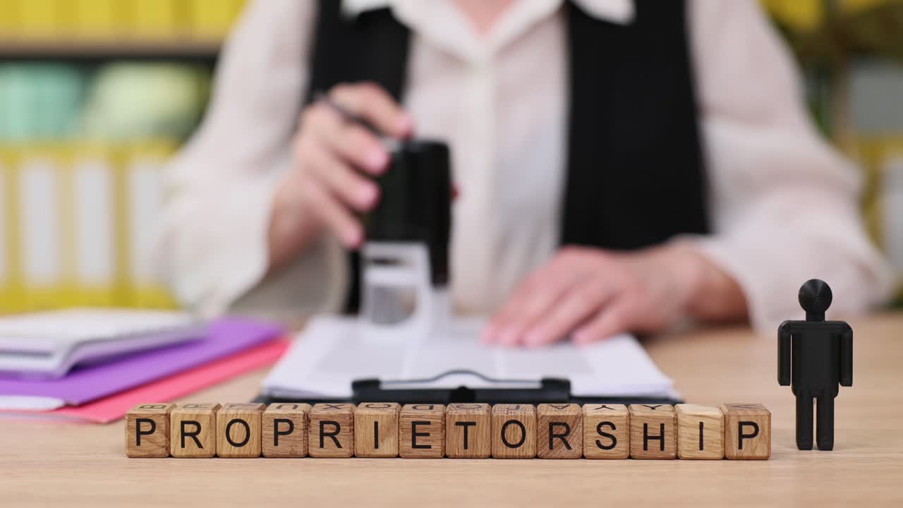 Proprietorship Concept with Wooden Blocks and Businesswoman