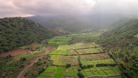 View-At-Plantations-With-Growing-Rice-Field-Fields-Cultivated-For-Agricultural-Purposes-Deep-Into-Mountains-In-Sumbawa-island,-Indonesia