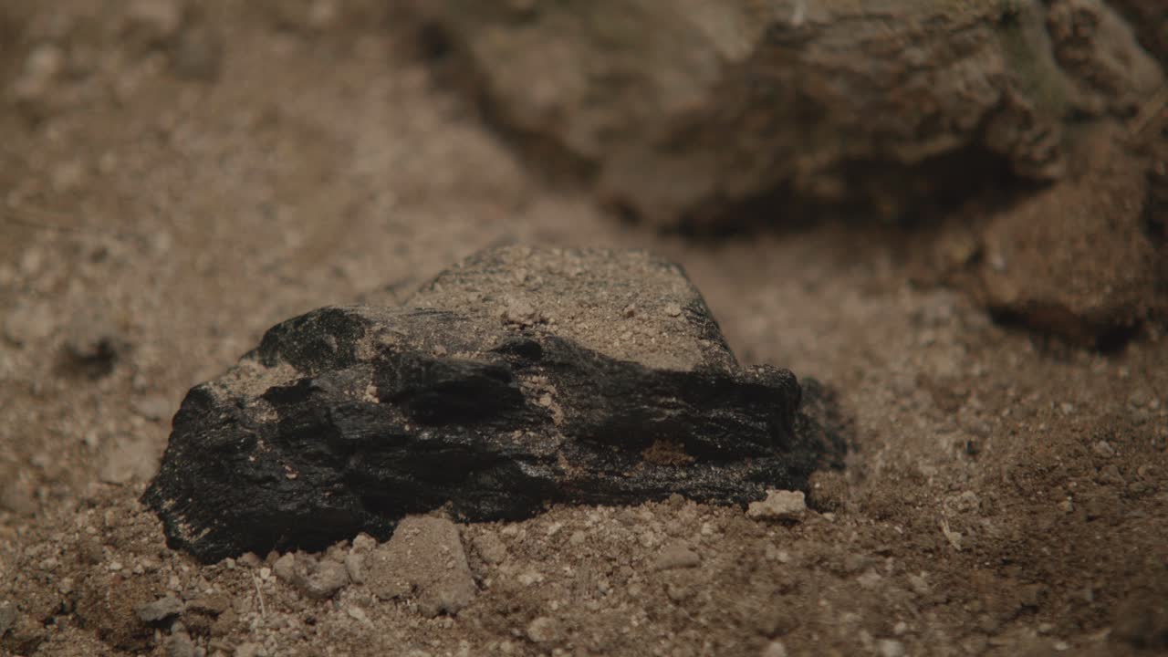 Close-up of a hand discovering and picking up a piece of black mineral or coal from the ground. Geology, mining, or scientific exploration and discovery concept