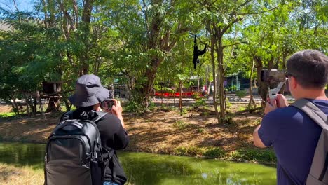 visitors photograph gibbons in chonburi, thailand